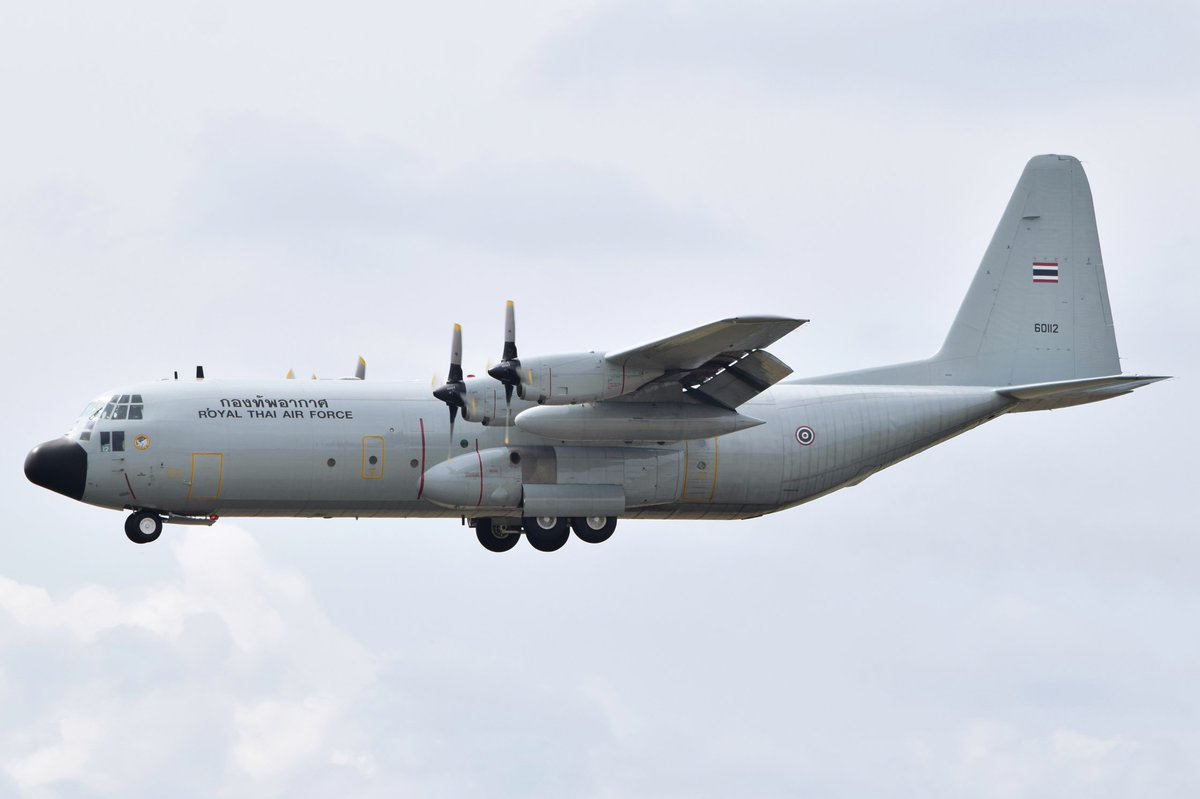 Yoko.kote tweet media