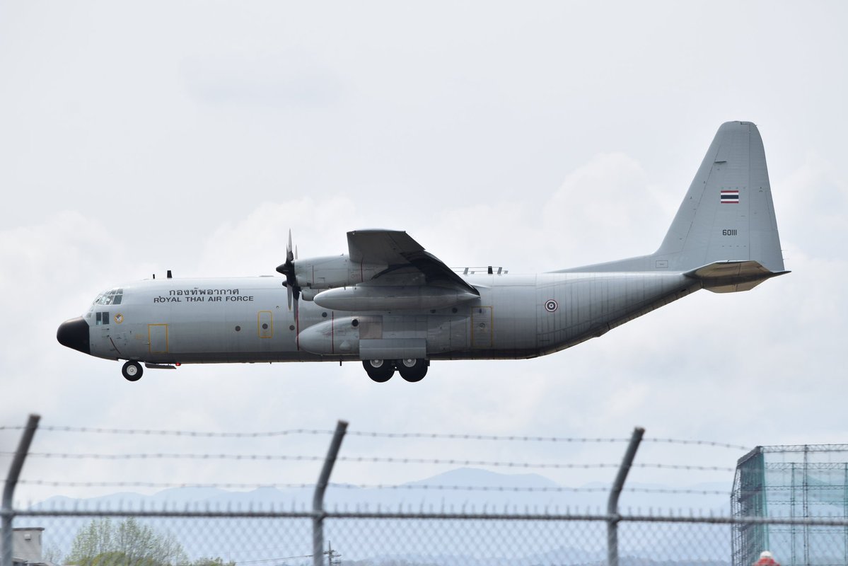 Yoko.kote tweet media