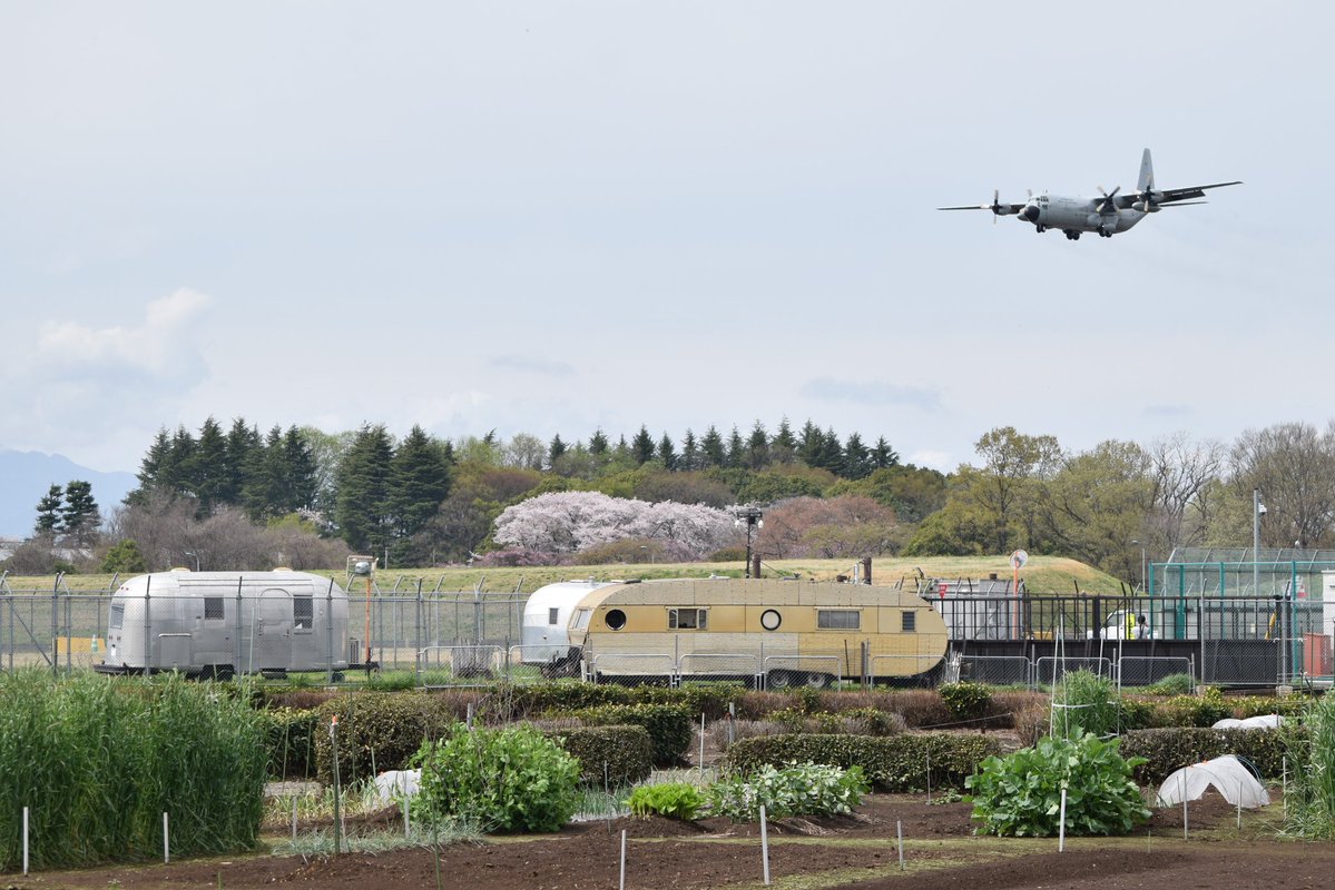 Yoko.kote tweet media