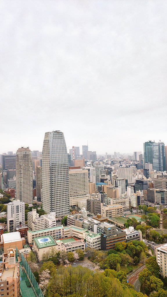 モナカ tweet media