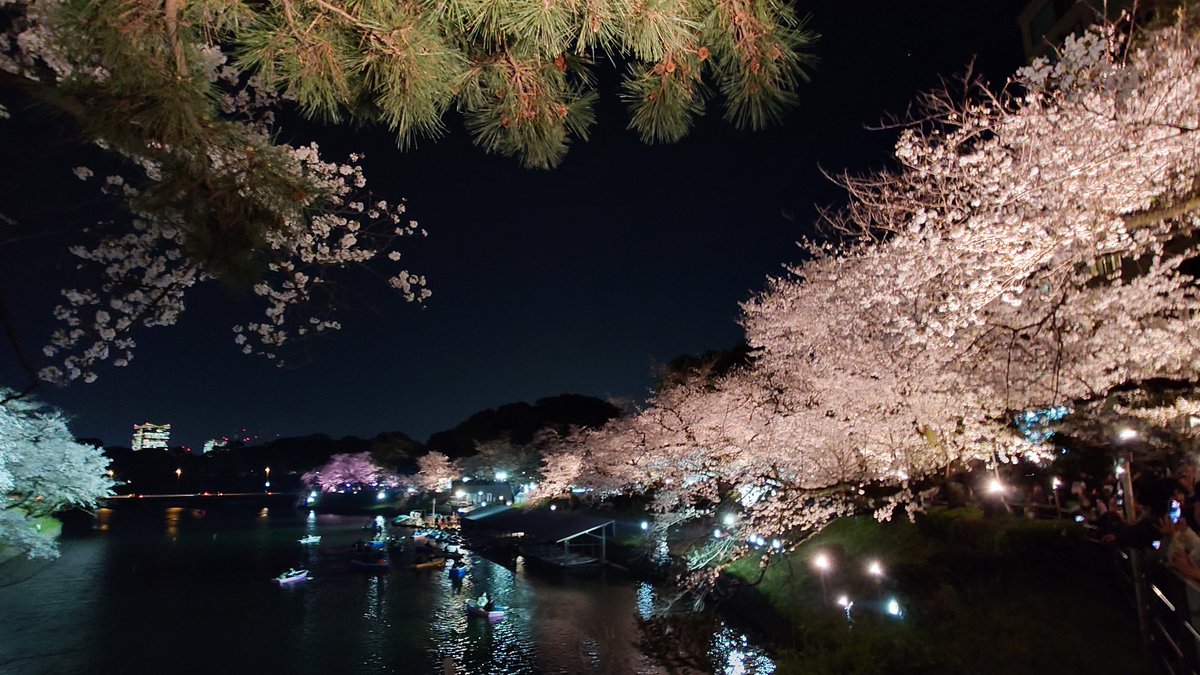 わたりん@のいん tweet media