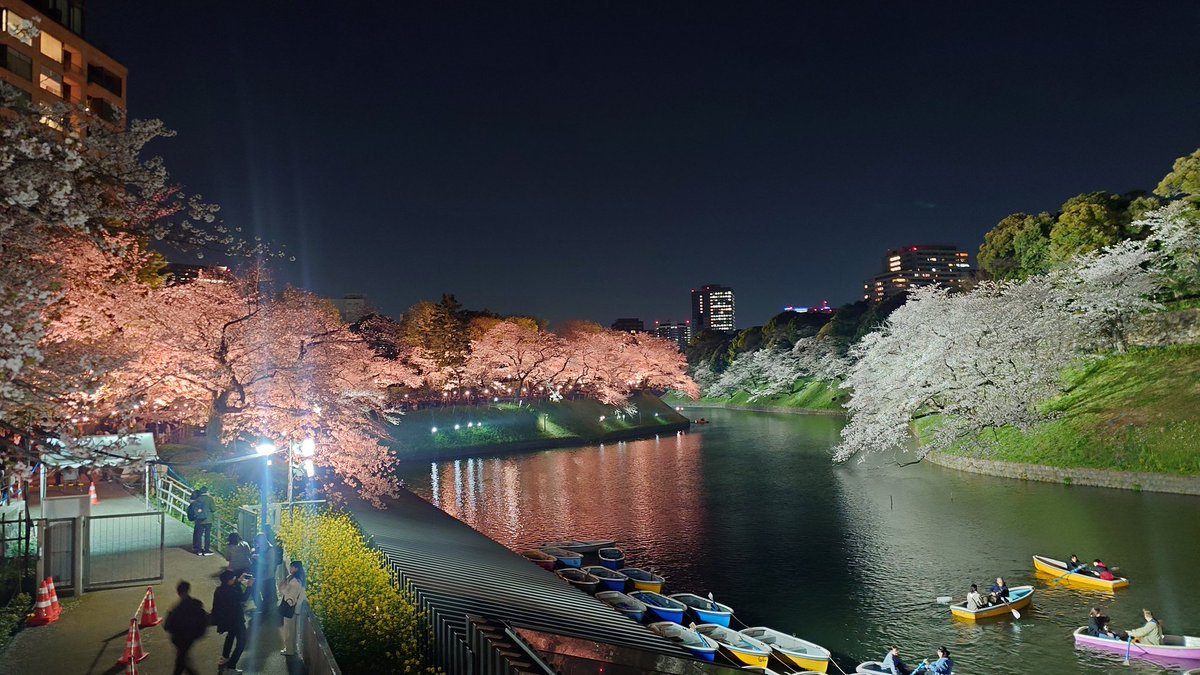 わたりん@のいん tweet media