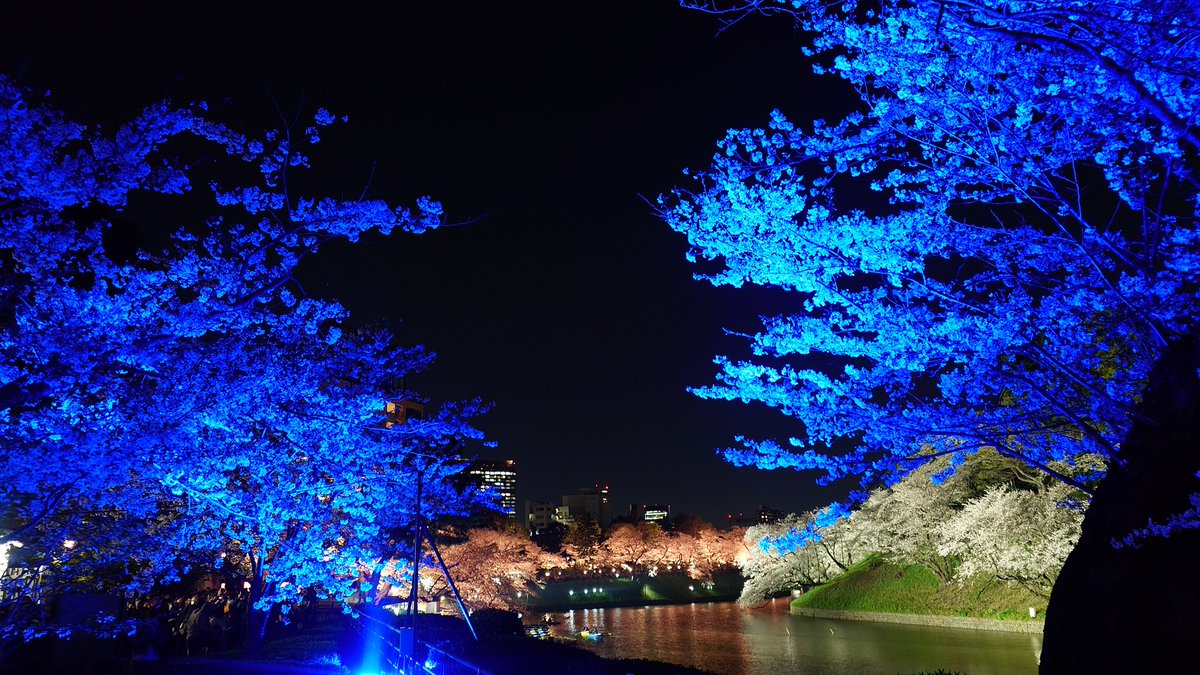 わたりん@のいん tweet media