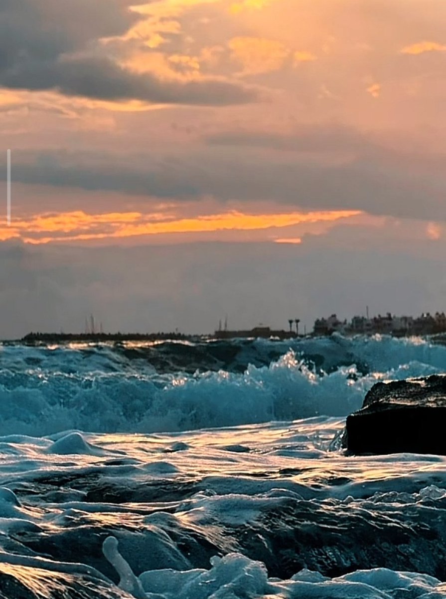 Traveller tweet media