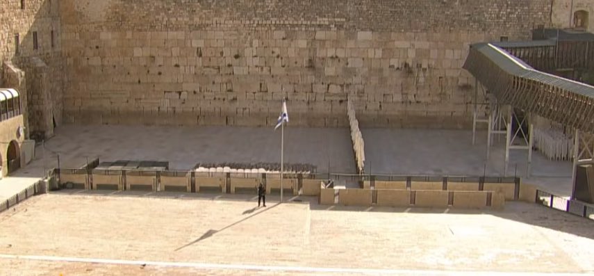 ישי כהן tweet media