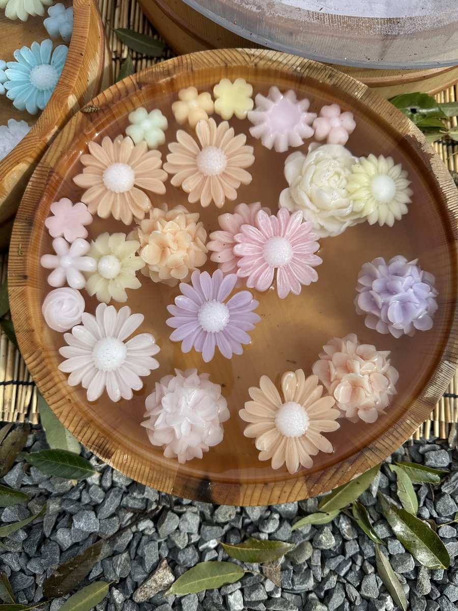 奥羽の独眼竜【公式】 tweet media