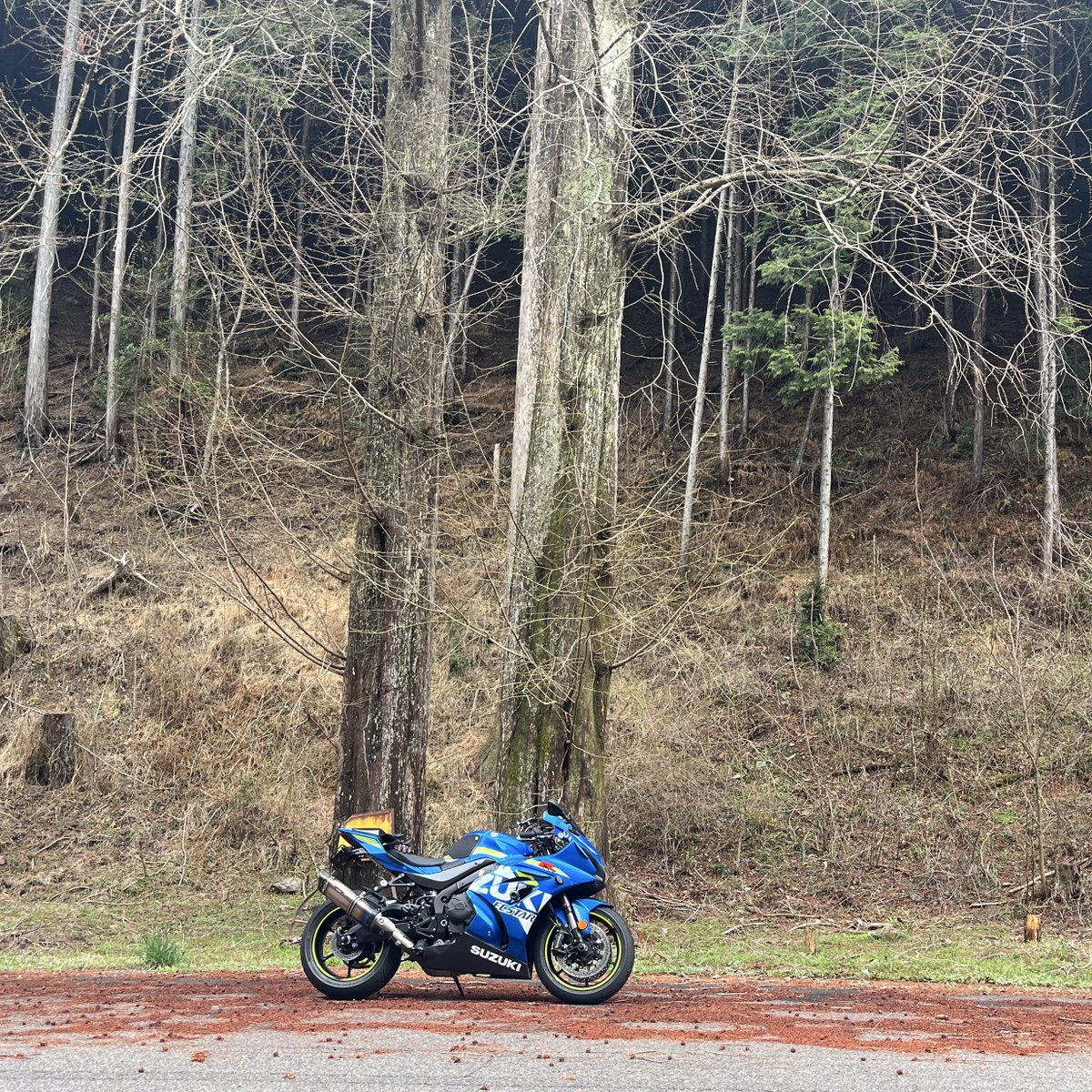 骨折ライダー@チタン入ってます🩹 tweet media