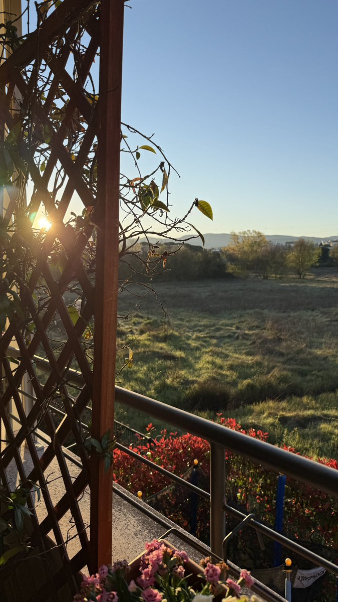 gennaro landolfi tweet media