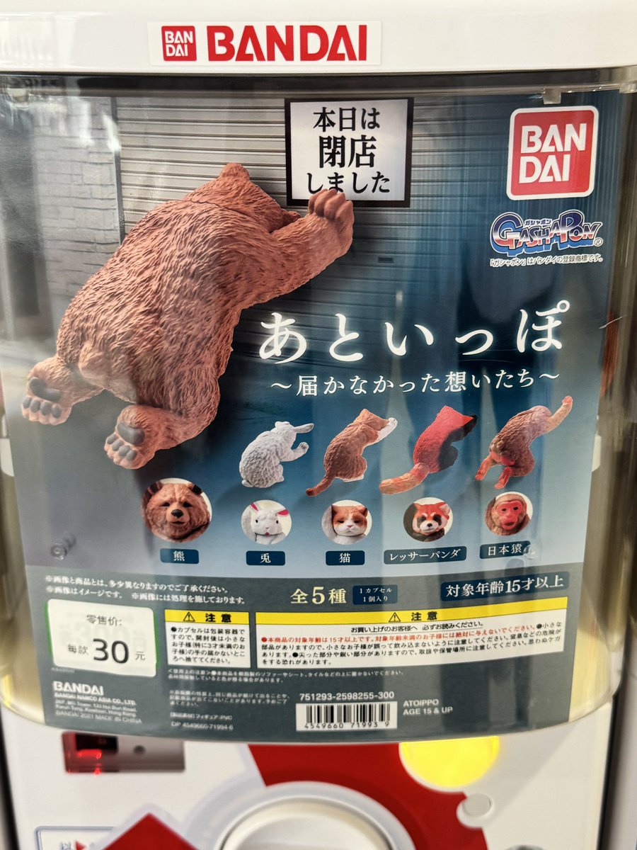 rui角ruirui tweet media