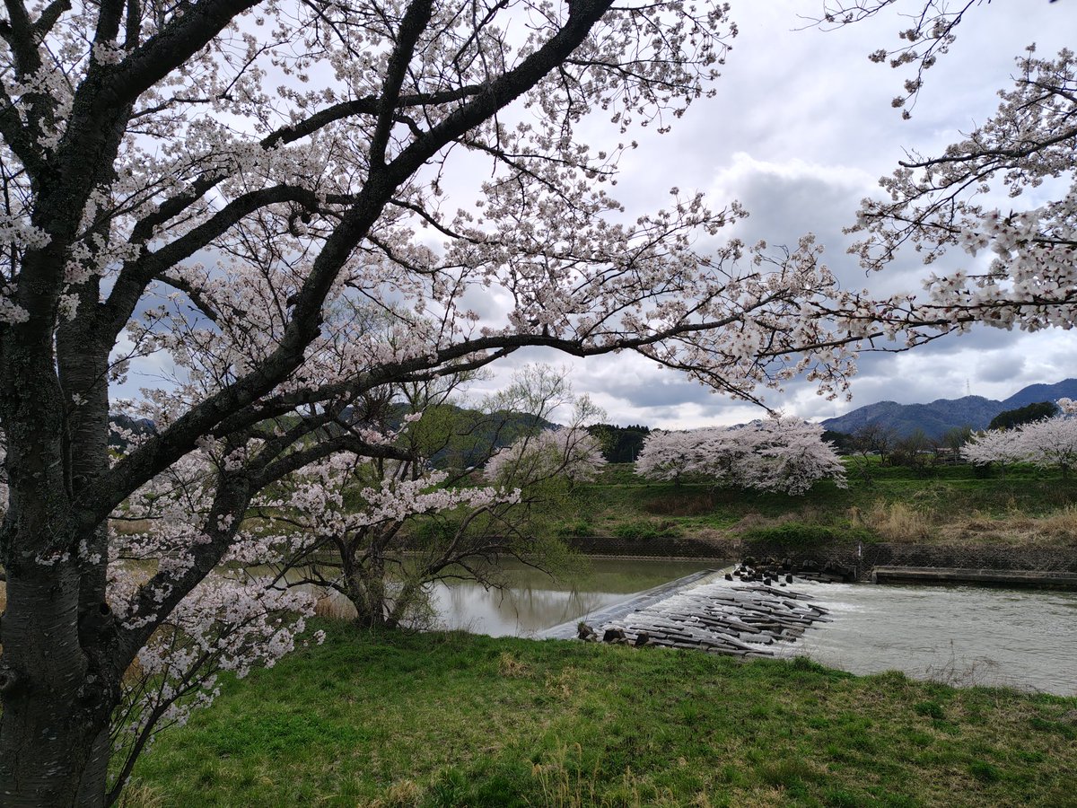 よっしん@W650🔰 tweet media