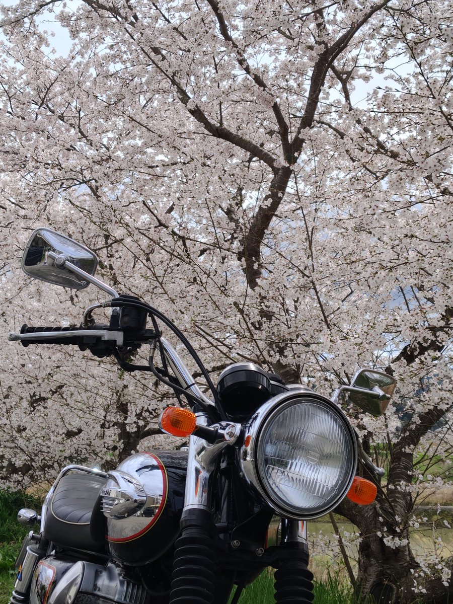 よっしん@W650🔰 tweet media