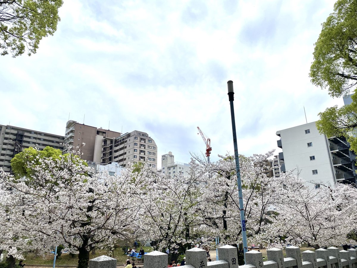 あすにゃん@大阪 tweet media