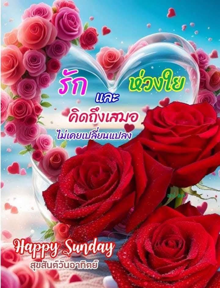 หนุ่มลำปางเหงา tweet media