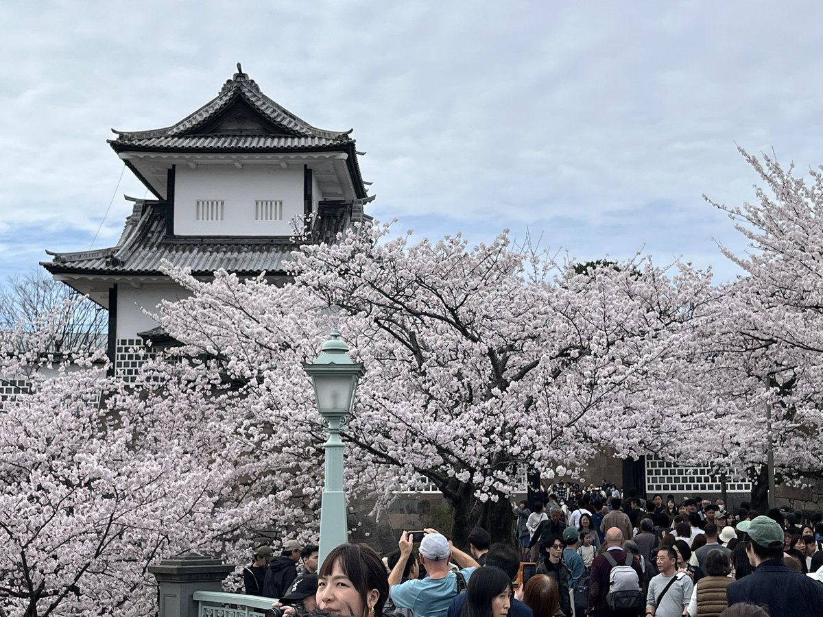 ほさか@キタケな性格 tweet media