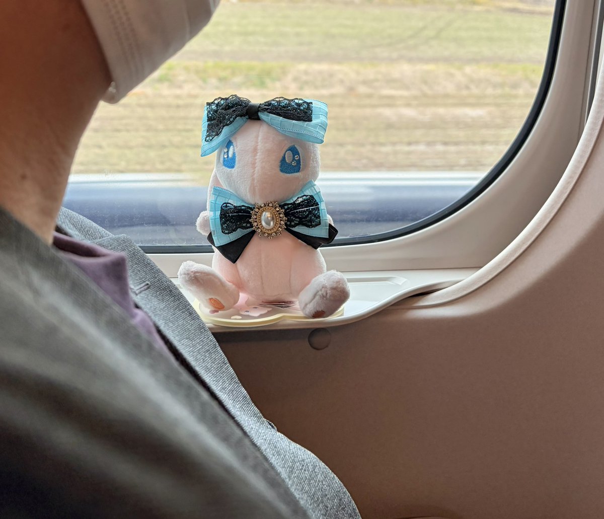 ぷーる【呼びタメ🆗】 tweet media