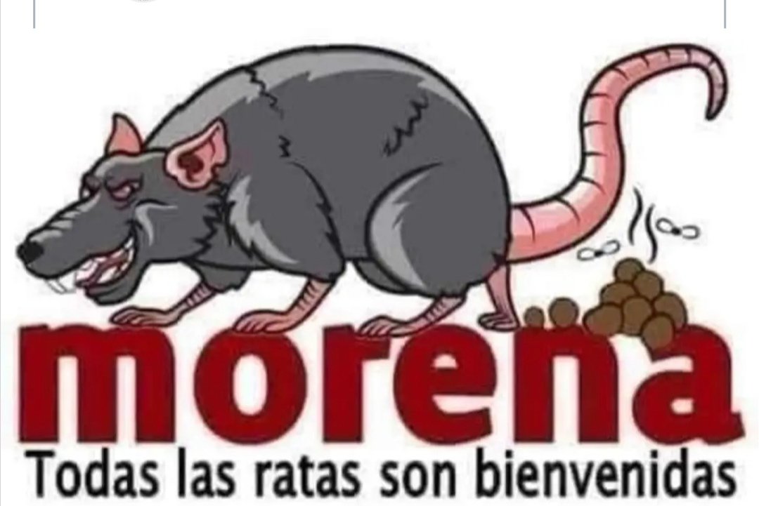 Nefrogus's tweet photo. @PartidoMorenaMx https://t.co/maSR5XcT5C