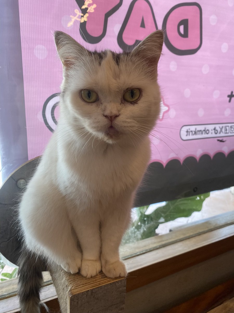 มาแล้วแม่ เลิฟฟฟฟฟฟ ⊹ ⋆ﾟʚ☆ɞ⋆ﾟ⊹

 #ohmkrit <a href="/ohmkrit/">ohmkrit</a>