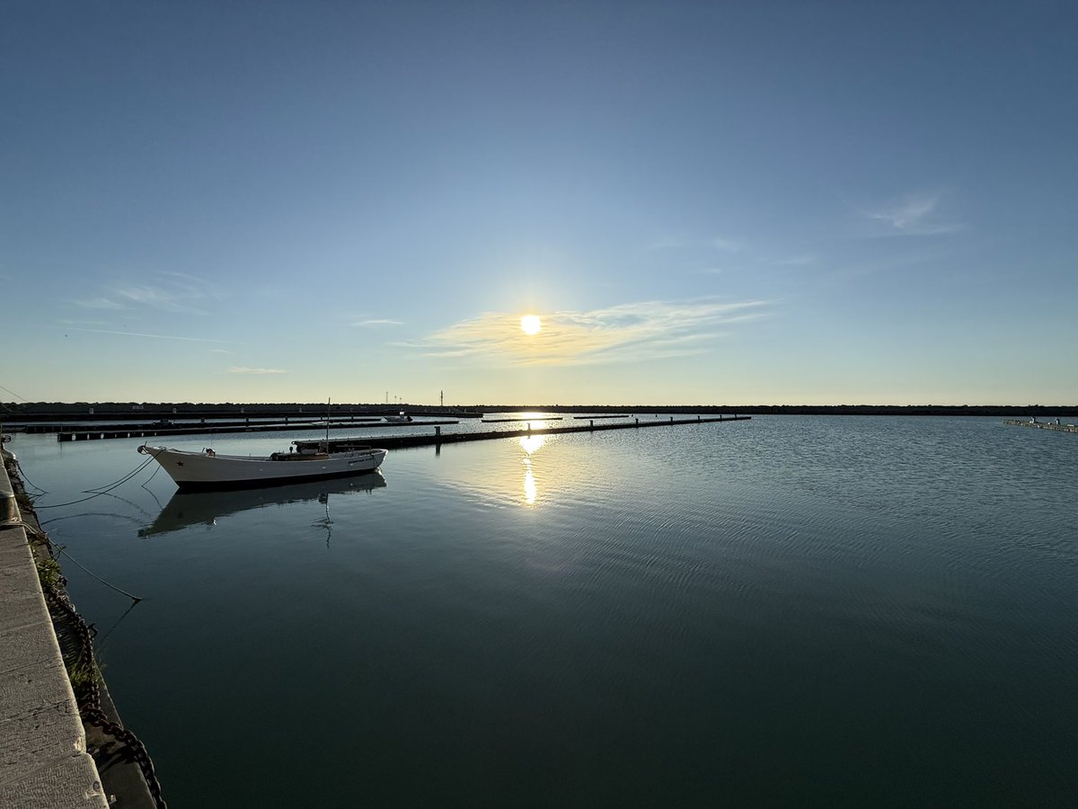 andreabalducci tweet media