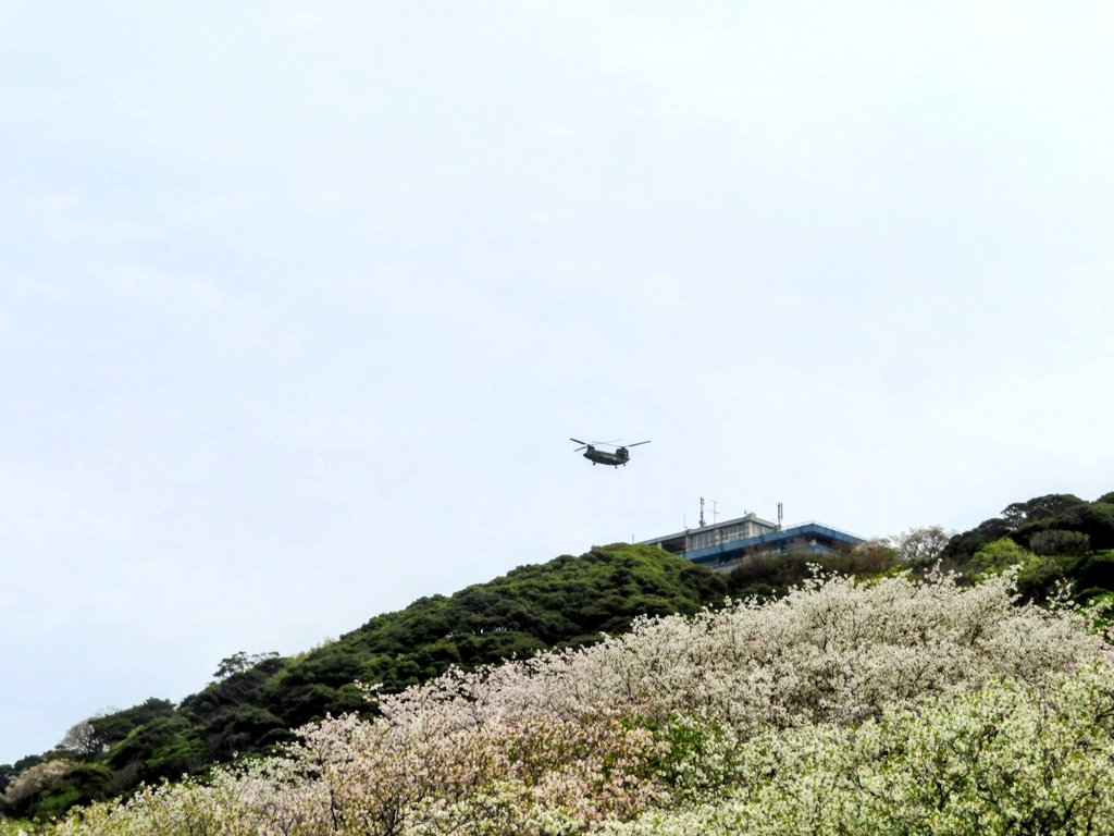 秋葉原PLUS(+) tweet media