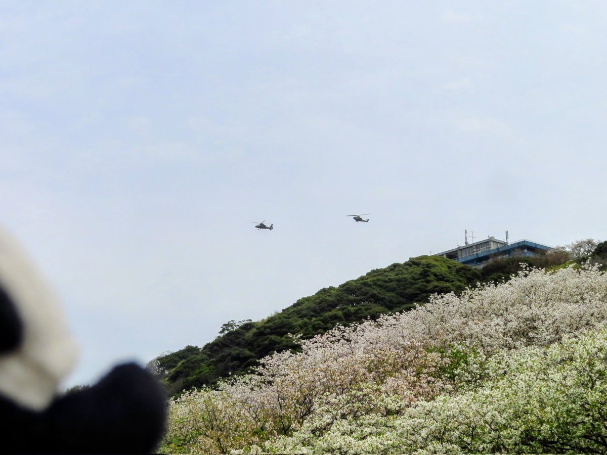 秋葉原PLUS(+) tweet media