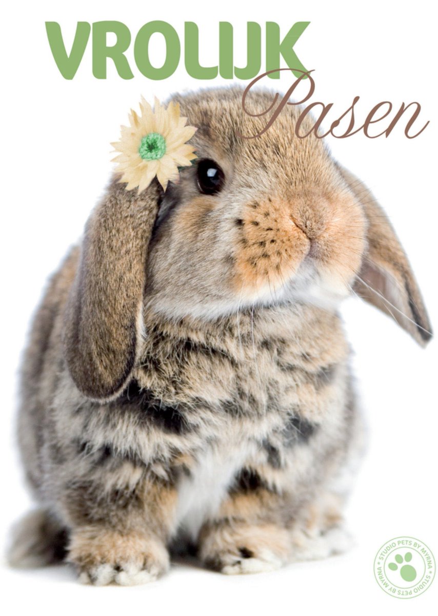 hilda v stuivenberg tweet media