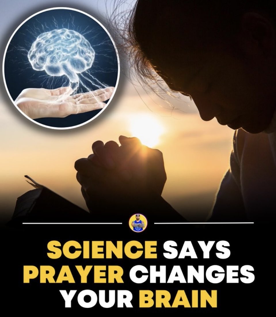 GnosisWolf tweet media