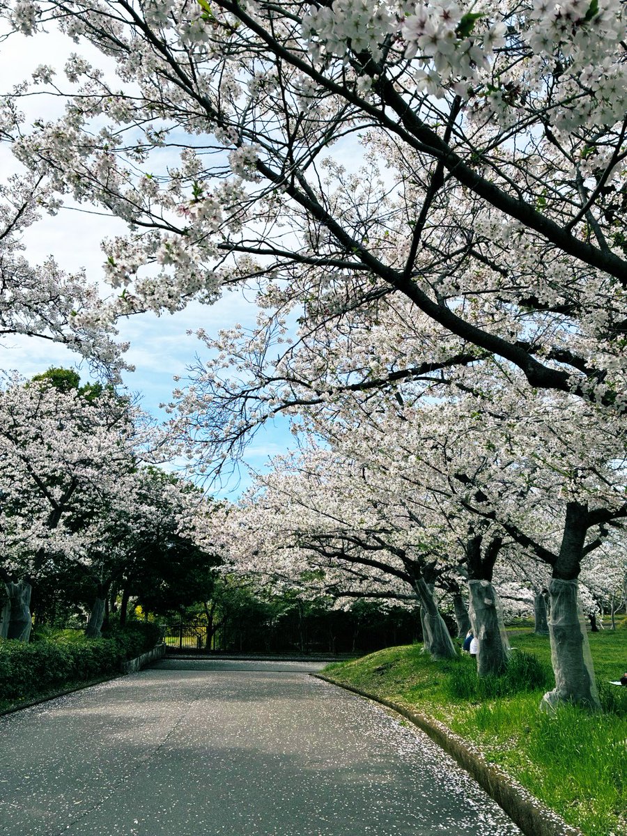 しん@RED DRAGON tweet media