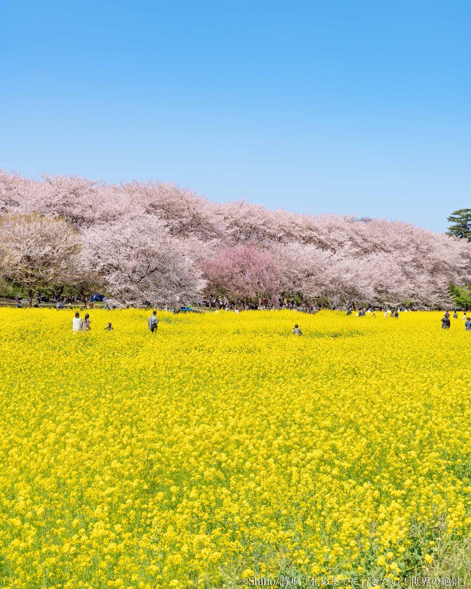 詩歩｜絶景プロデューサー tweet media