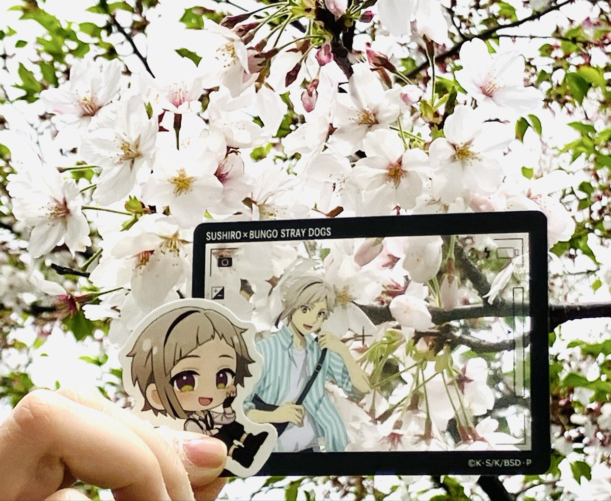 すいか tweet media