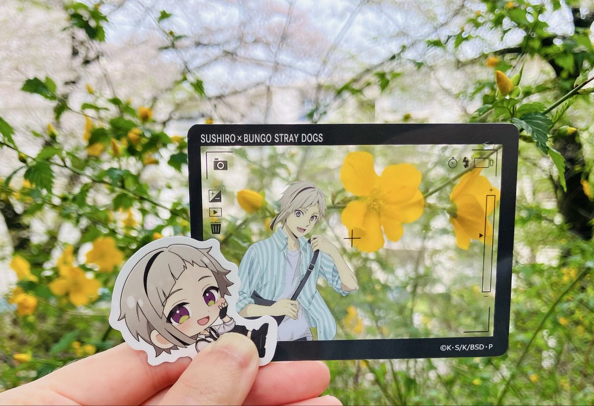 すいか tweet media