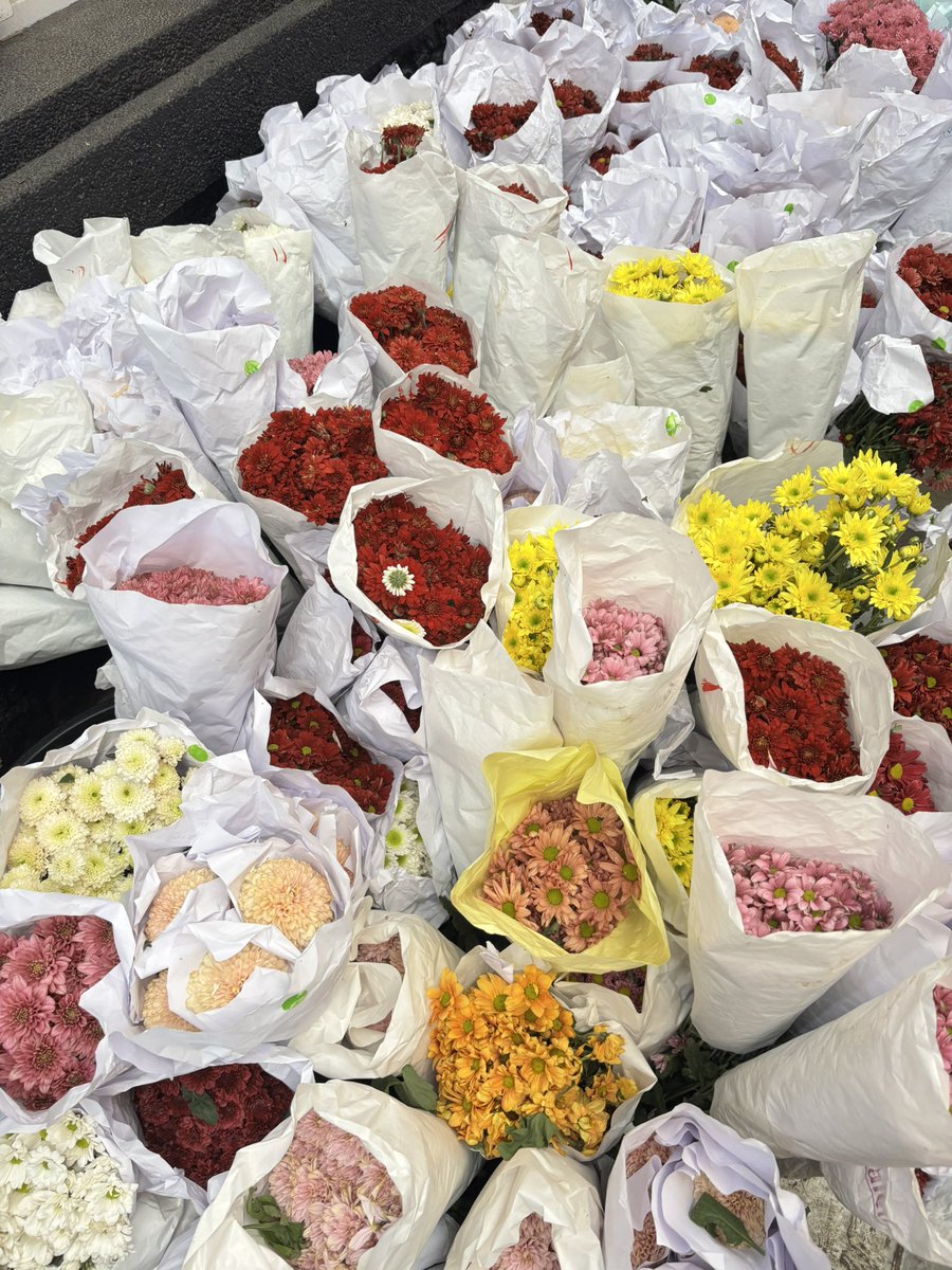 yanto kopling tweet media