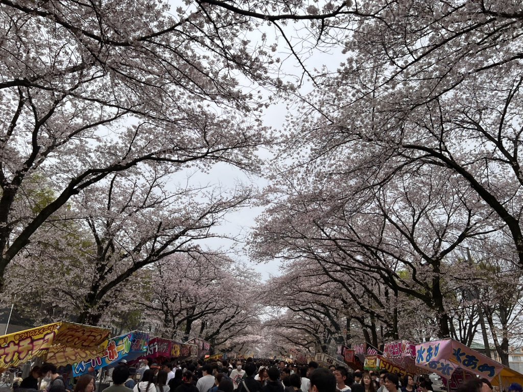 奥村春夫 tweet media