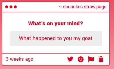 DOCNUKES ☢️ tweet media