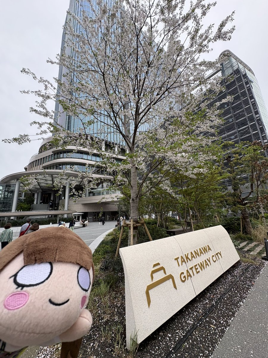 ✨🏹 lilly best 7 🎸✨ tweet media