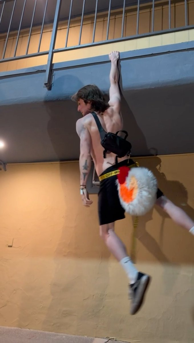 Fluffy Husky tweet media