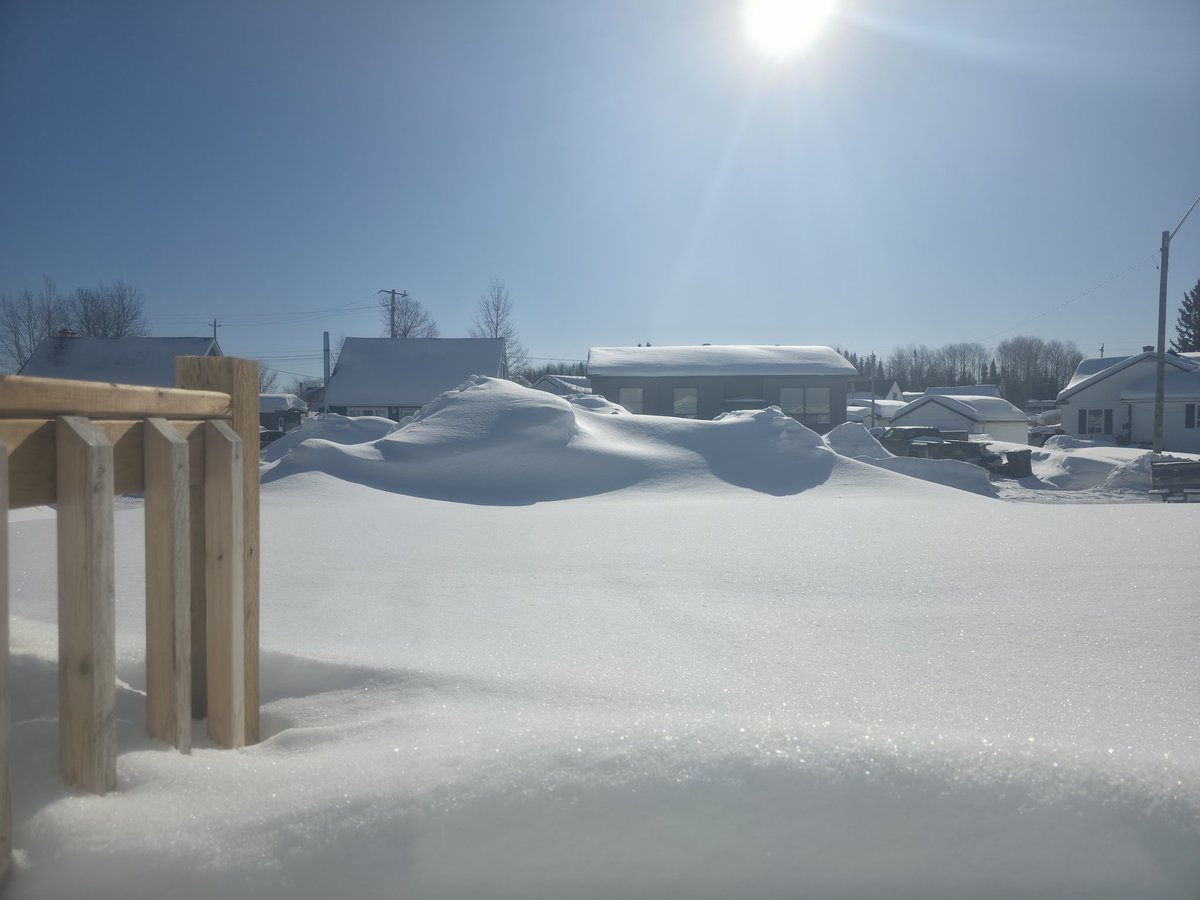 4 Frig Sakes tweet media