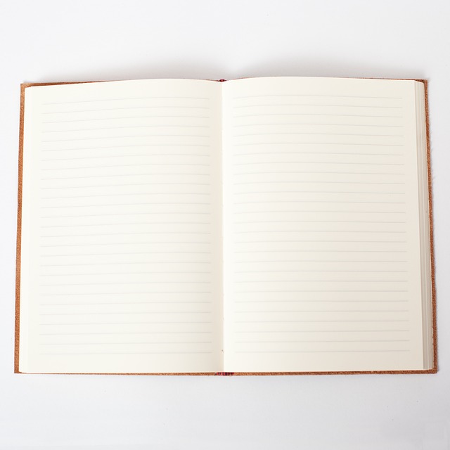 Erin Stokes tweet media