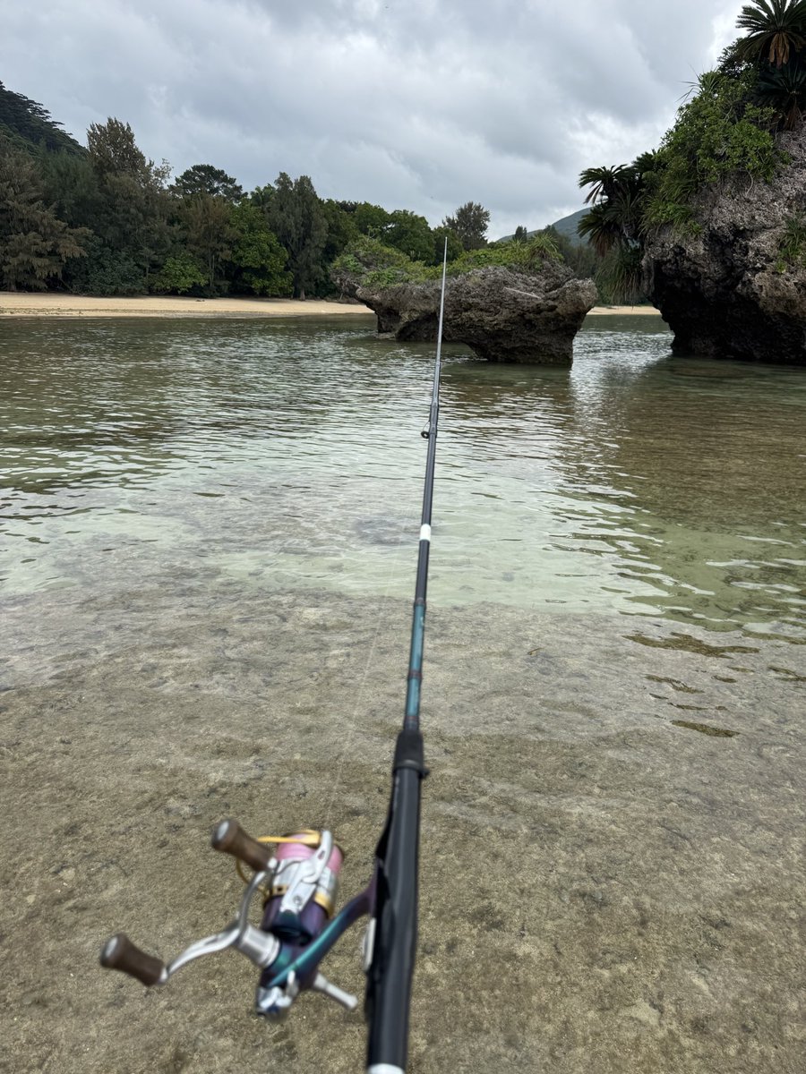 電光石火R 02 tweet media