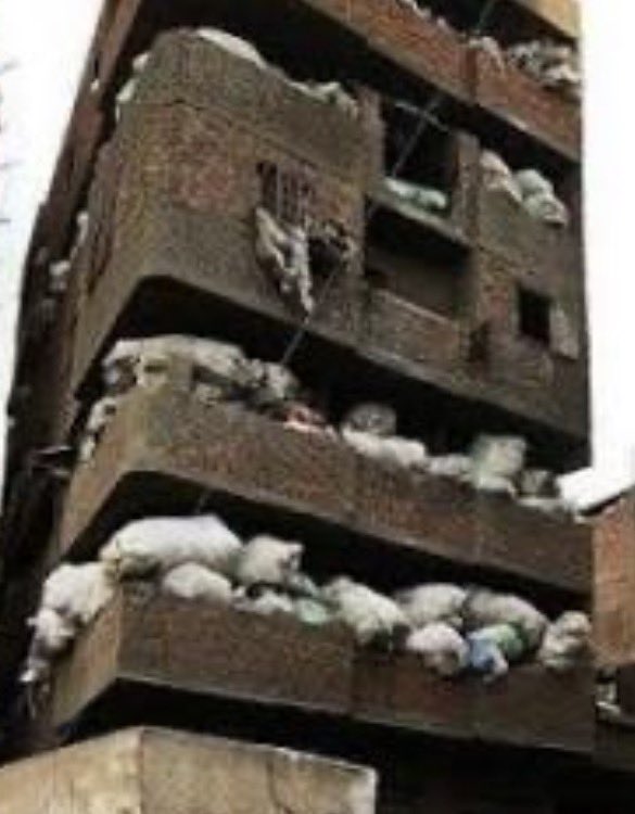 ابريل tweet media