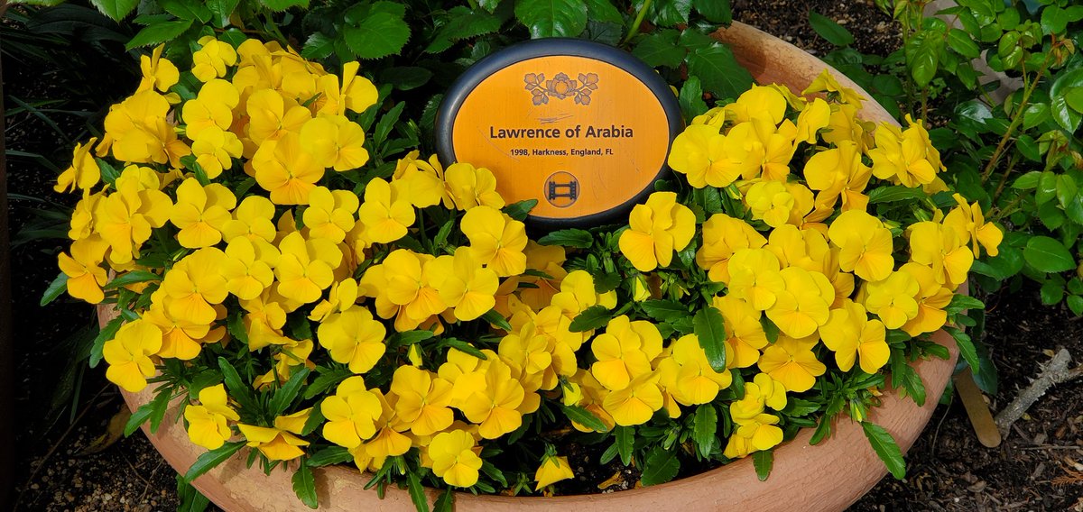 ふくだまさひろみ tweet media