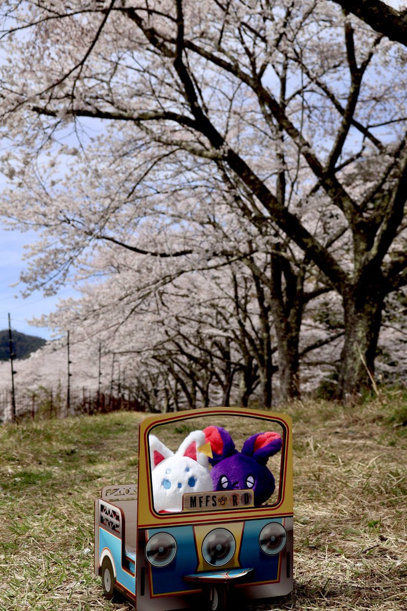 広瀬 梨有 tweet media