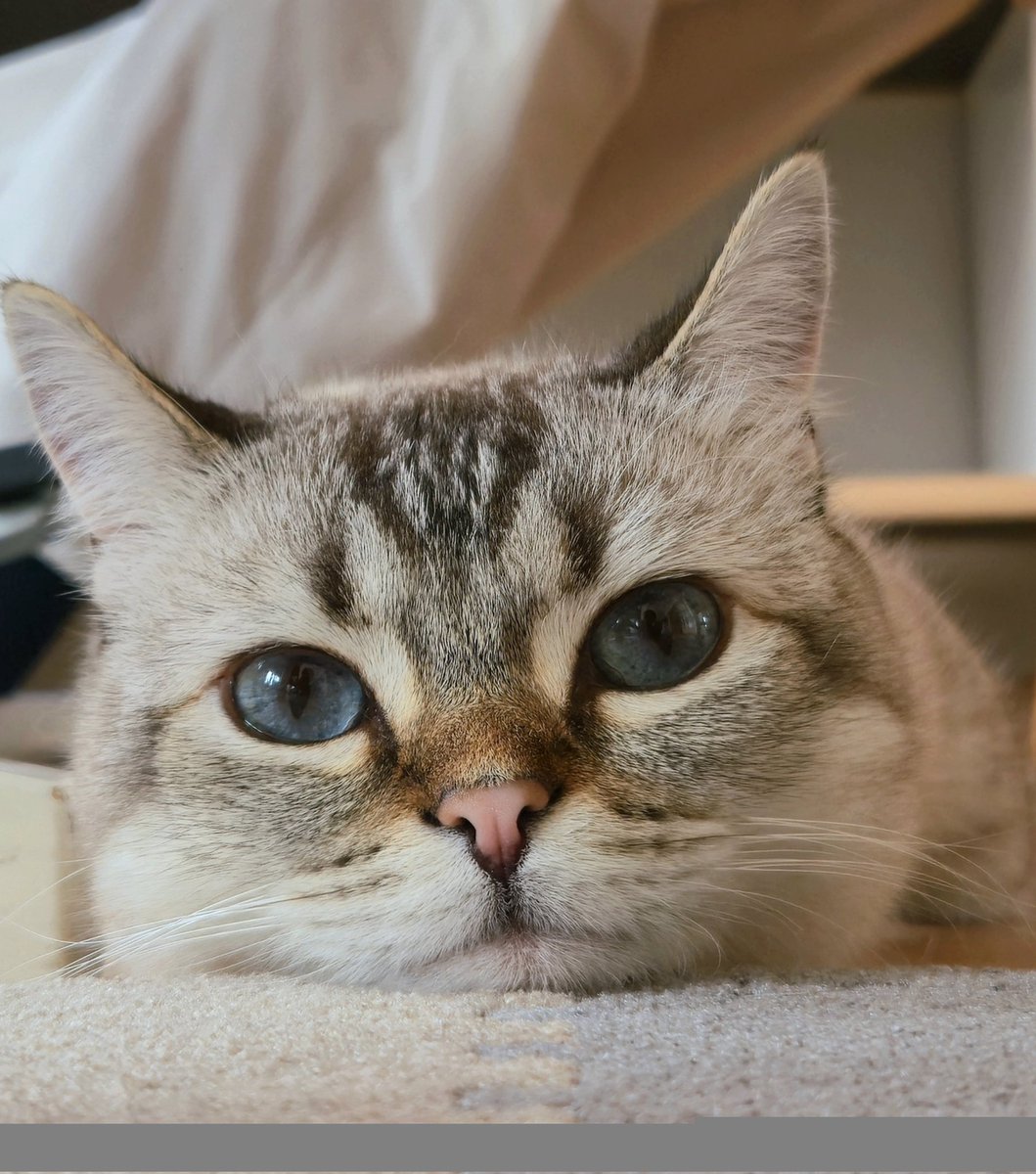 まるママ tweet media