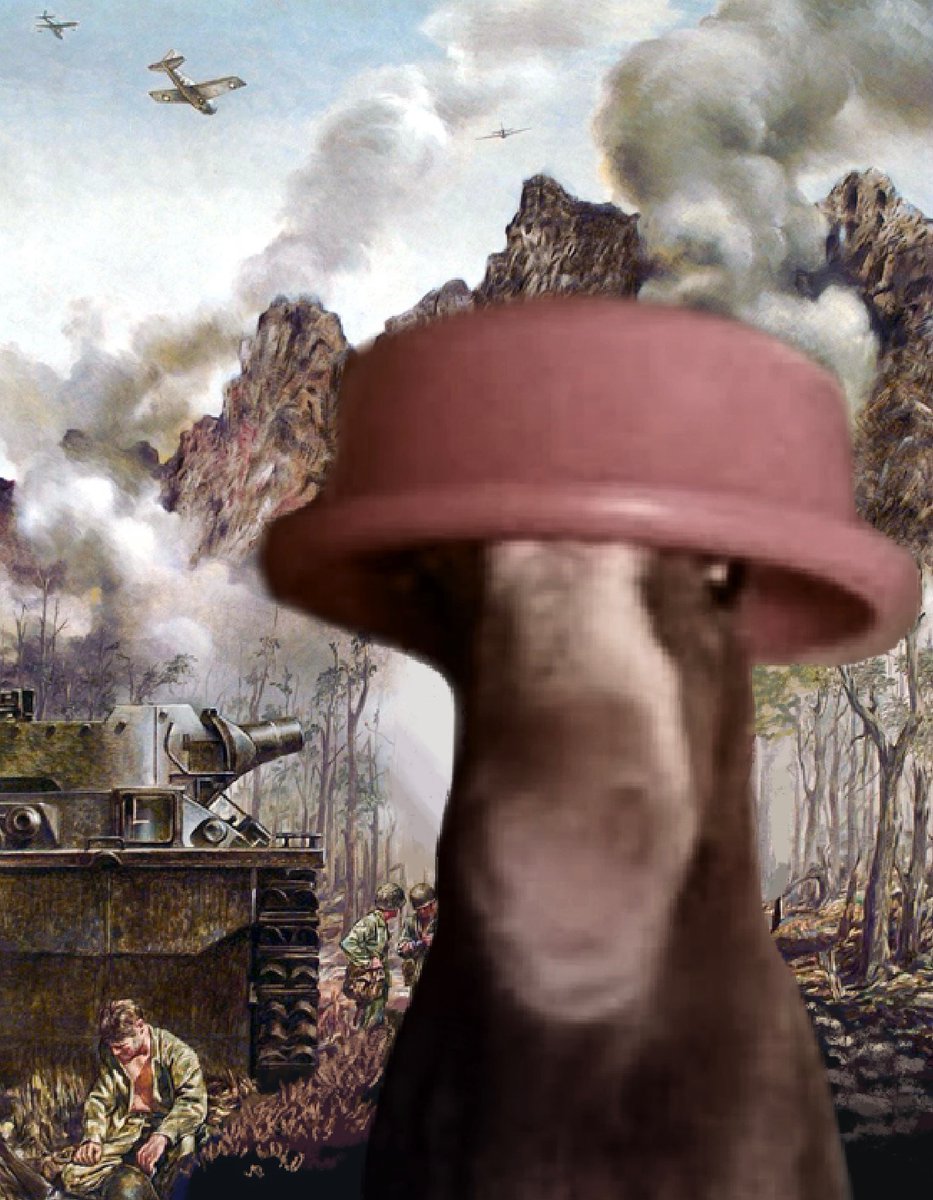 The Fish / Zephyrus tweet media