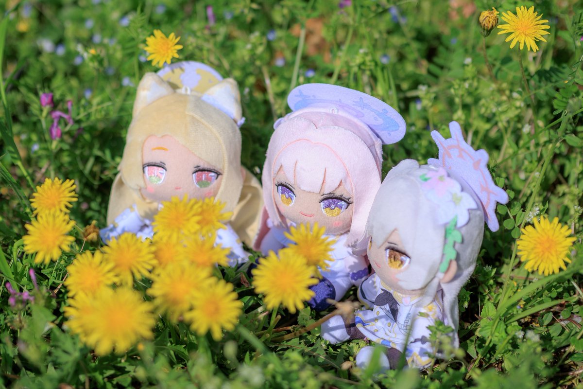 ニッシー tweet media