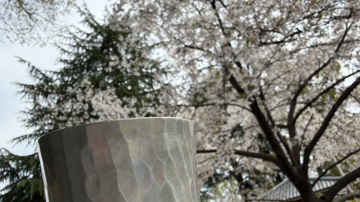 ぺつ🌿 tweet media