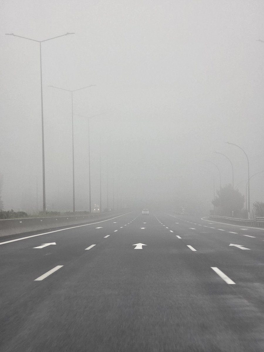 👻 katrin👻 tweet media