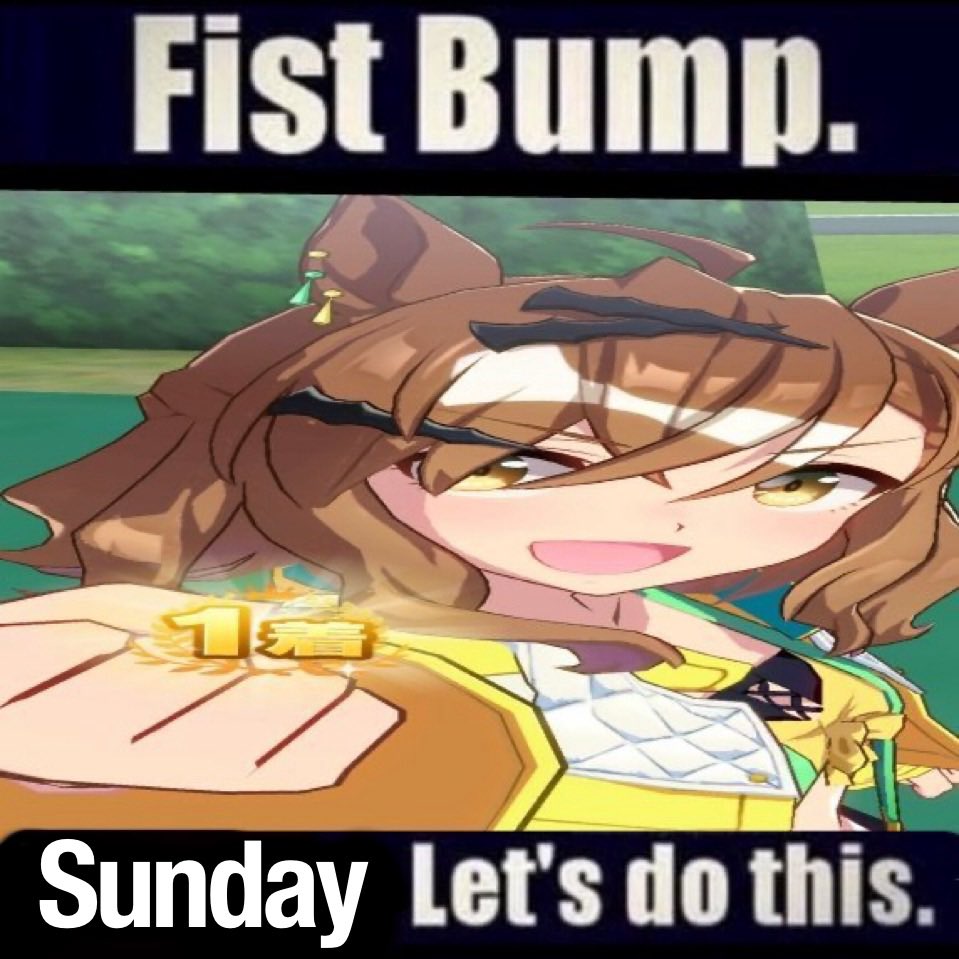 Jungle Pocket!! tweet media