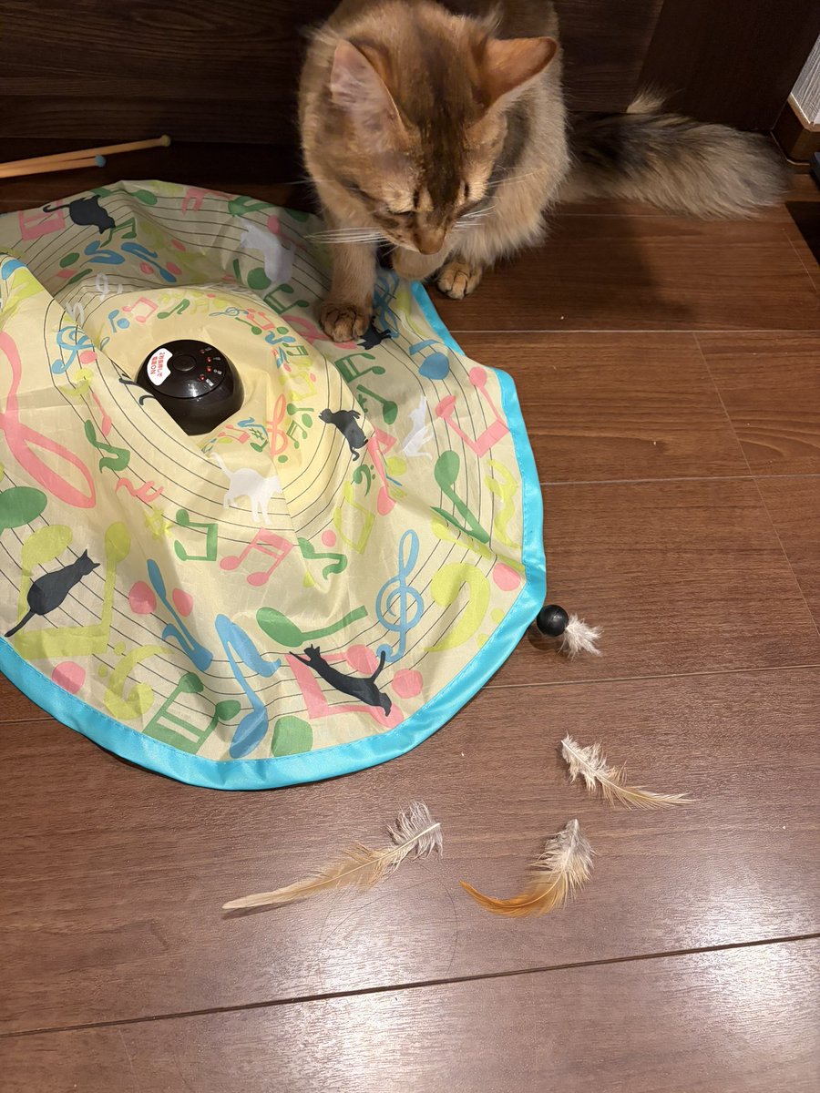 尊厳死 tweet media