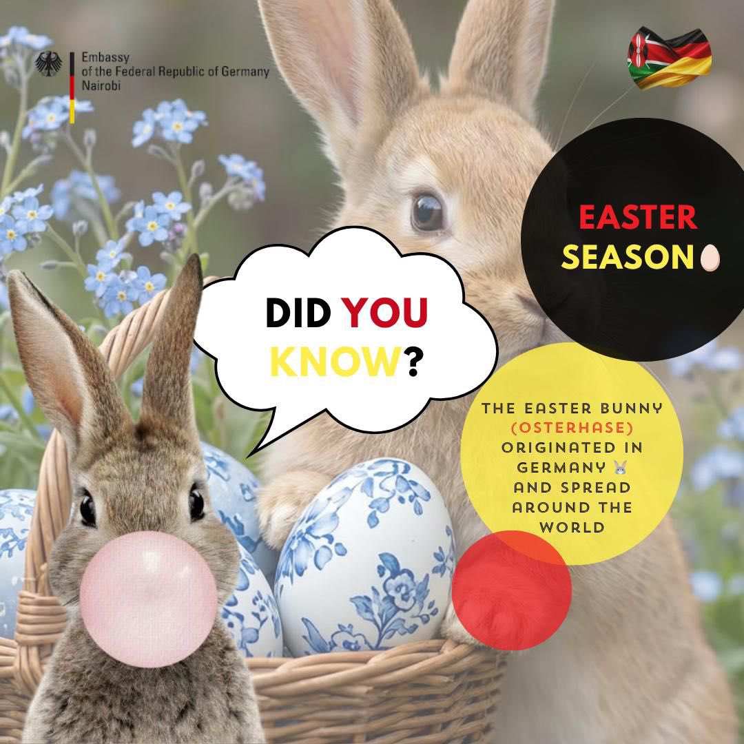 GermanyinKenya's tweet image. Happy Easter!🥚
Did you know some of the world’s most loved Easter traditions began in Germany? 
Swipe left to discover more…
#easter #didyouknow #germany