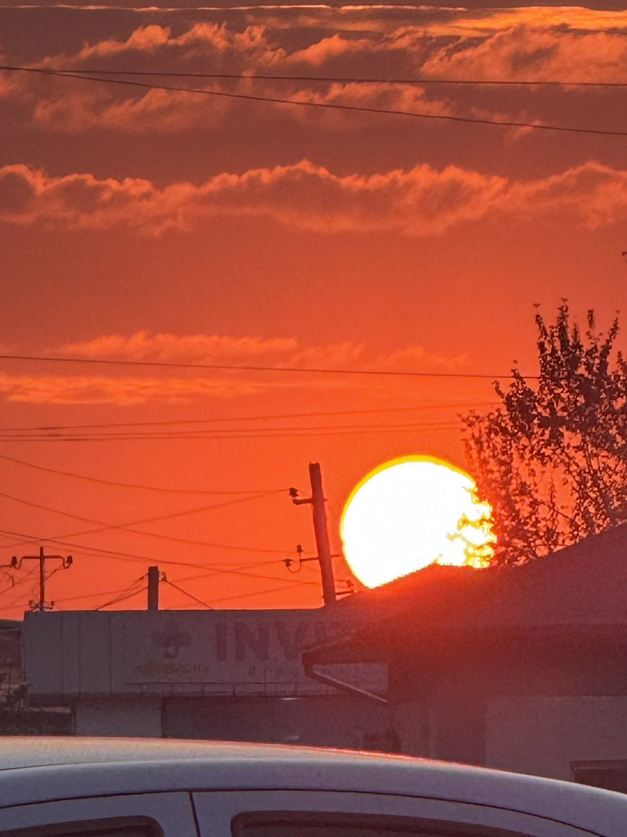 Muhammad Temur A’zam tweet media